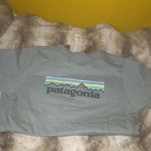 Patagonia tshirt